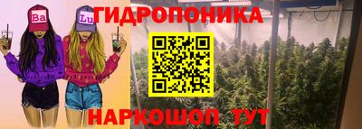 дурь Гусев
