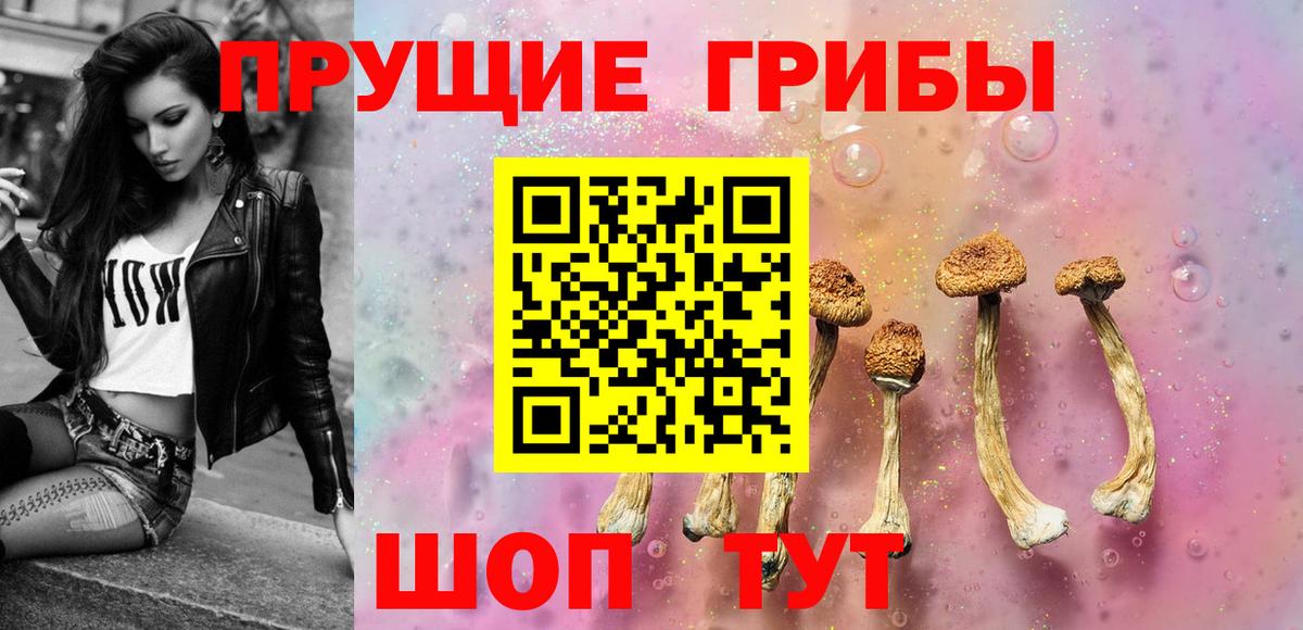 Псилоцибиновые грибы Psilocybe  Псилоцибиновые грибы Magic Shrooms  где купить наркоту  Нарткала  Вход с VPN 
